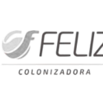 cofan-consultoria-financeira-financiamento-agricola-agro-feliz-colonizadora_