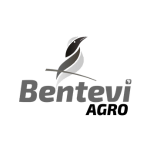 cofan-consultoria-financeira-financiamento-agricola-agro-grupo-bentevi_
